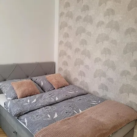 Floks Apartament 公寓 *